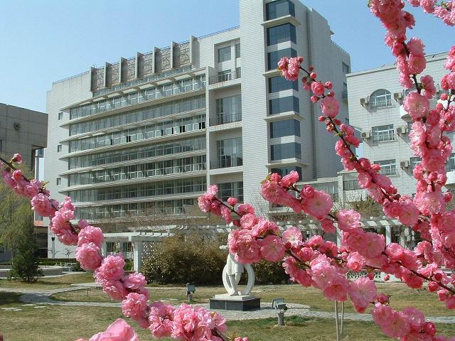 Jk全裸